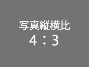 テスト7